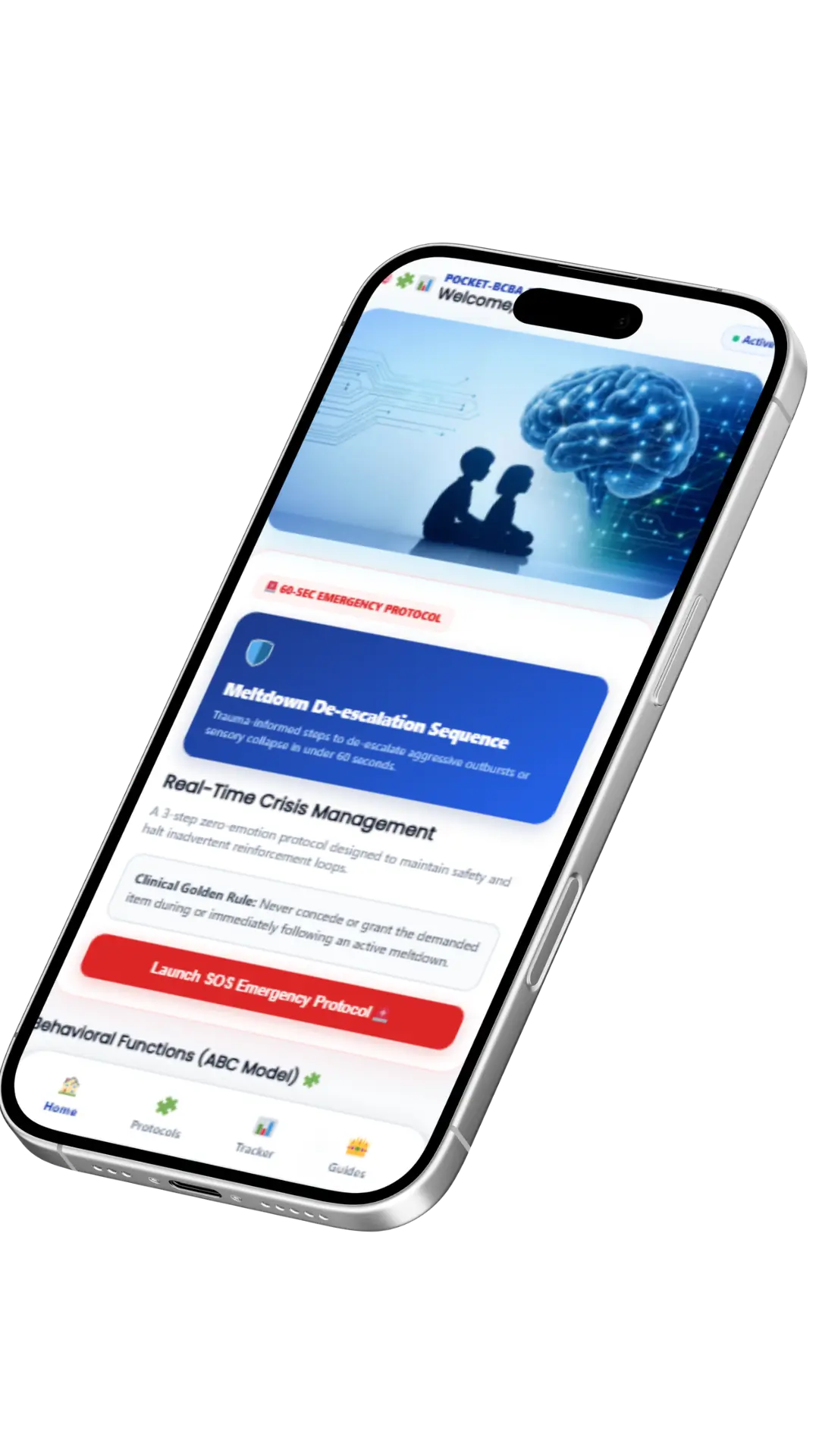 Pocket-BCBA Mobile WebApp Interface Preview